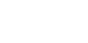 Fleck Logo